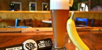 Banana flavored beer? Gene edited yeast expands beer taste possibilities
