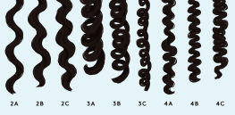 Podcast: Evolution of hair texture — Did curls help early humans survive?