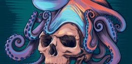 brain similarities between an octopus and a human