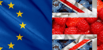 brexit food sm shutterstock and