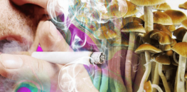 quit smoking with magic mushrooms