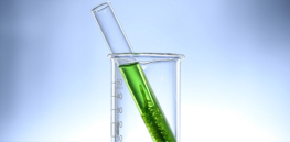 how blue green algae may be used to treat cancer