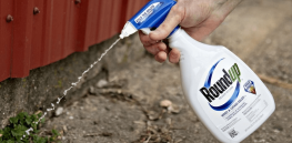 Bayer wins sixth consecutive glyphosate cancer verdict