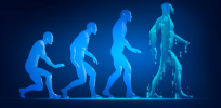 evolution of walking