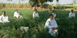 Viewpoint: A degree in regenerative organic agriculture at a 'transcendental meditation' university? What are students actually learning?