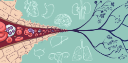 what evolutionary medicine is