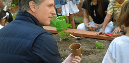 Viewpoint: California governor Gavin Newsom wants to transform 30% of the state’s agriculture into organic. This study claims that would be a disaster