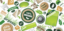 Viewpoint: Has the organic trend gone stale? After 10 years of growth, organic food sales have started to fall in the UK