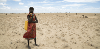 Viewpoint: Massive drought, population rise, and lack of agricultural land spurred Kenya to embrace GMOs — not ‘corporate greed’
