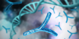 why the y chromosome is disappearing
