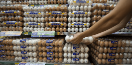 Viewpoint: ‘Prices may rise to the point that eggs become a luxury item’ — Why Mexico’s looming GM corn ban spells economic trouble