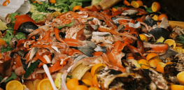 Food waste revolution? How upcycled garbage can help build a more sustainable future