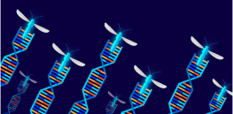 Can CRISPR gene editing be used to decimate populations?