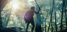 How searching for food in trees drove ancient human ancestors to evolve to walk upright