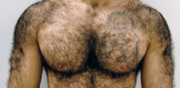 Hairless humans: We have all the genes to go full Chewbacca, but they’re just turned off. Here’s why