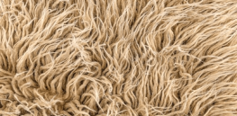 fur