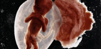 Post-Roe debate: New York Times addresses ‘when human life begins’