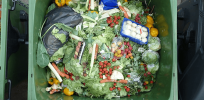 Transforming agricultural waste into bioplastics