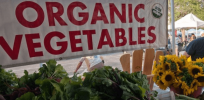 After years of reports of widespread violations of 'certified organic' rules, USDA strengthens enforcement