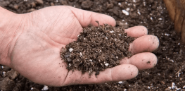 Viewpoint: Regenerative agriculture is the best way to overcome environmental impacts of conventional farming, claims Boston Consulting Group