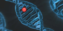 CRISPR gene editing is in clinical trials to treat sickle cell disease, cancer, HIV/AIDS and some rare inherited diseases. Here’s what we can expect going forward