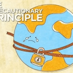 the problems with precaution a principle without principle jpeg q r vn yd izn h fat qrnwv cvgopb bl sed