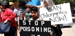 Viewpoint: Anti-pesticide hysteria brings together conspiracy theorists and science-illiterate people on the left and right