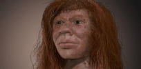Third human species? The story of a Denisovan father and a Neanderthal mother