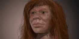Third human species? The story of a Denisovan father and a Neanderthal mother
