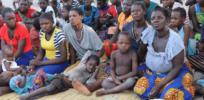 Viewpoint: Zambia’s drought crisis suggests critical need to reassess misplaced two-decade-old decision to ban genetically modified maize