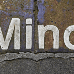 Video: Why and how consciousness evolved?