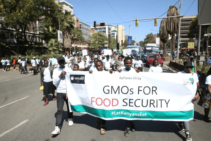 kenyan gmo activists call for adoption of improved seed varieties to improve food security