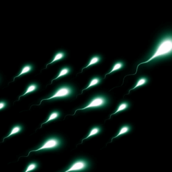 Free sperm freezing: Russia’s offer to soldiers with a good chance of dying in the Ukraine