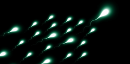 Free sperm freezing: Russia’s offer to soldiers with a good chance of dying in the Ukraine