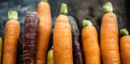 What is a ‘sustainatarian’? A ‘regenivore’? Are fad diets targeting climate change just a new wave of virtue signaling?