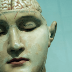 Challenging ‘blank slate’ theories of human behavior: Most evolutionary researchers agree genes plays outsized role in shaping behavior