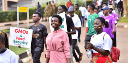 Give farmers a chance: Pro-GMO activists march through Nairobi and Kampala calling for the adoption of improved seeds