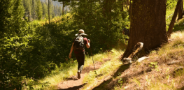 Hike a day keeps the doctor away? Spending time in nature could reduce the need for anxiety and blood pressure medications, study suggests