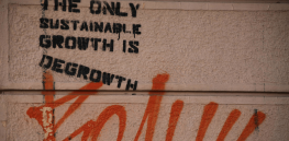 Economic 'de-growth' or 'green growth': Which climate change strategy makes the most sense?