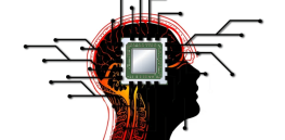 Biocomputers: Human brain cells may run computers of the future