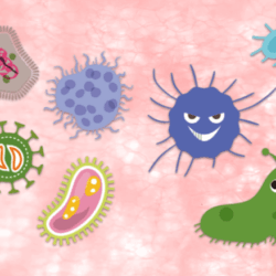 (Conversation) Superbugs: Climate change is spurring a dangerous rise in antibiotic resistant in humans and animals