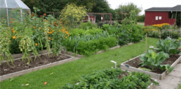 Defining regenerative agriculture