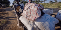 20 years ago, Zambia 'shocked the world' by rejecting free corn to feed its starving population, claiming safety concerns because it was genetically modified. That freeze is thawing.