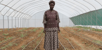 Misinformation on GM crops and improved seeds hurting Kenyan farmers and hungry citizens