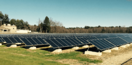 How using solar panels in agriculture can increase yields and fight climate change disruptions