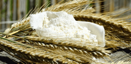 Nearly all soy and corn exporters plant genetically modified seeds. Why, so far, is there a dearth of GM wheat?