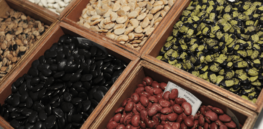 px six bean varieties at a gene bank