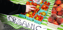 Viewpoint: ‘It’s time for transparency’ — How promoting alleged benefits of organic food misleads shoppers and undermines our farm system