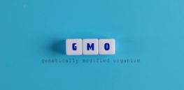 "GMOs", "contamination" and "coexistence": Challenging the misuse of concepts and wrongheaded regulation of agriculture and food