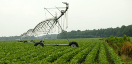 Viewpoint: Why the EU’s Farm to Fork policy doesn’t measure up to tech-driven sustainable US agriculture